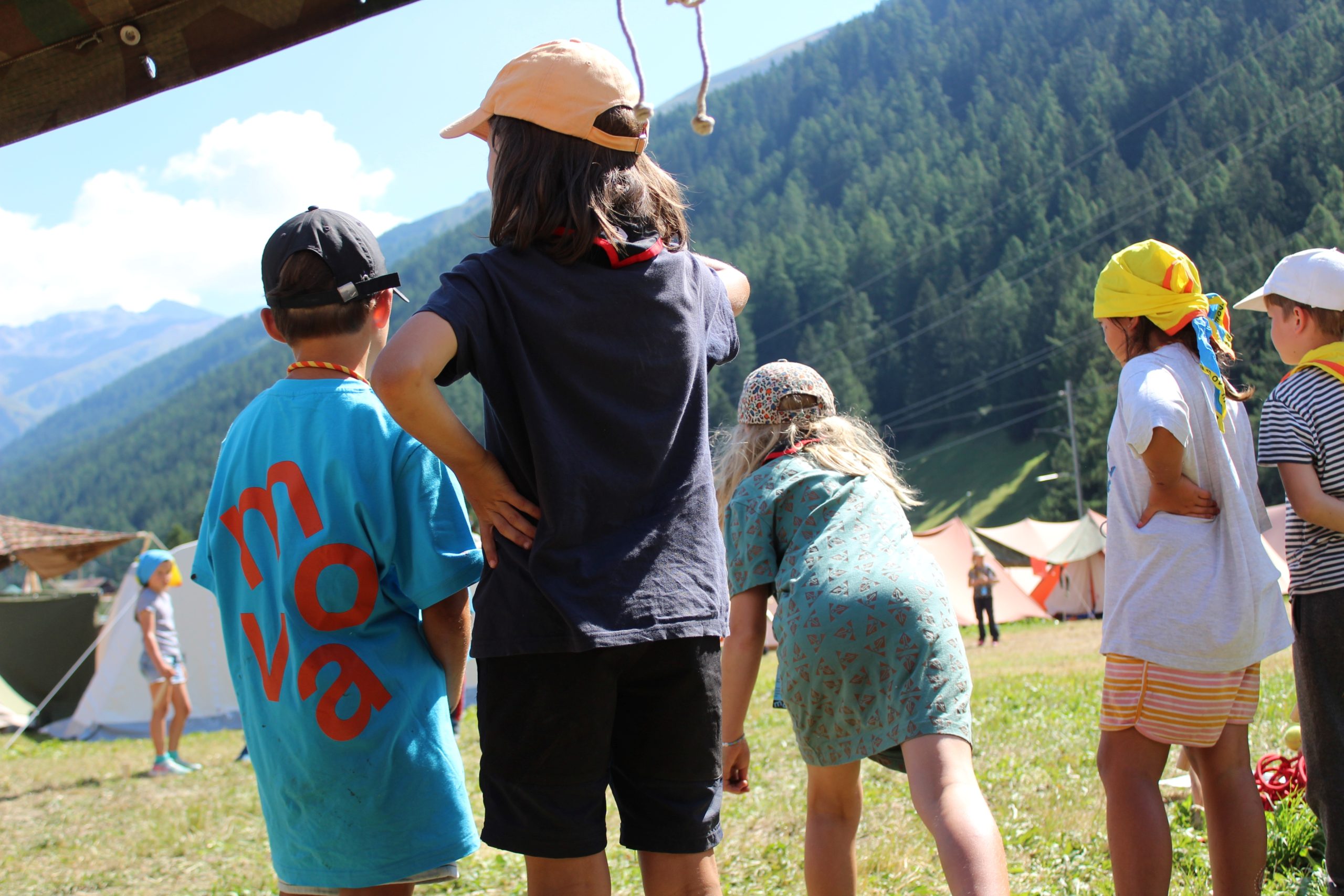 Bild 196