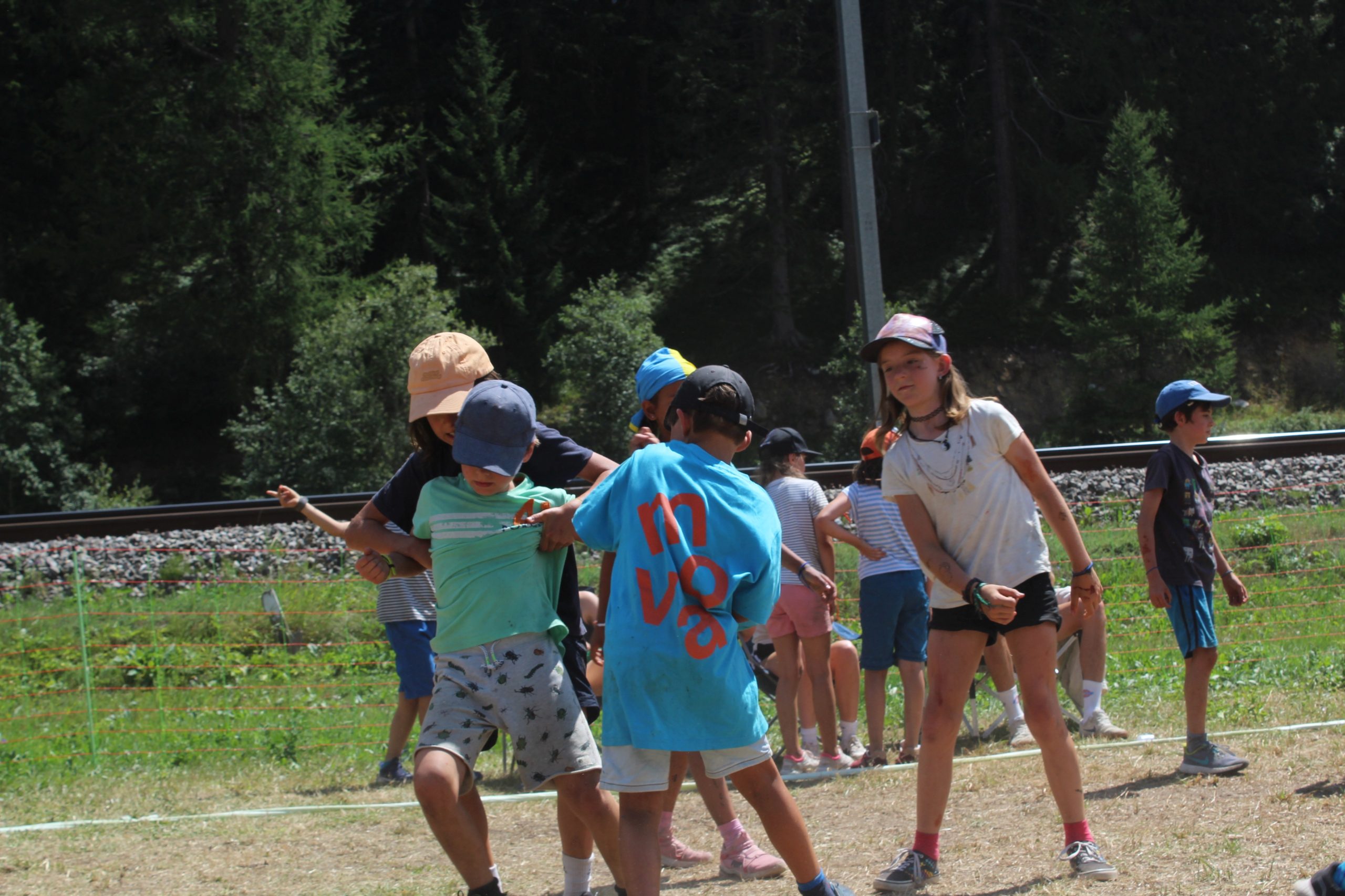 Bild 227
