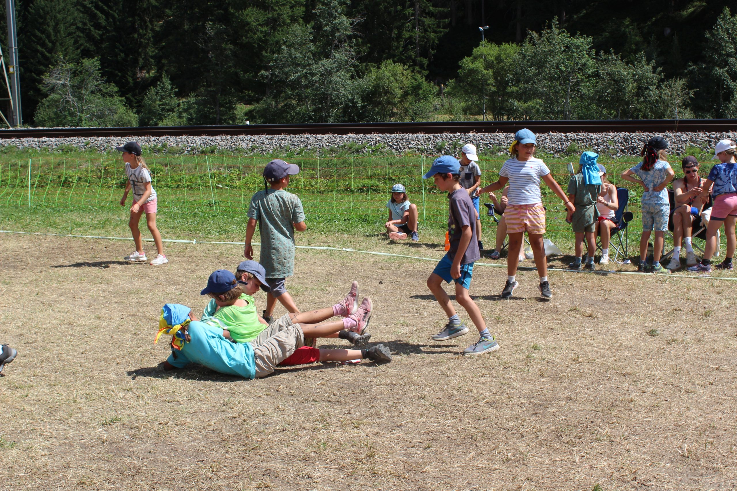 Bild 242
