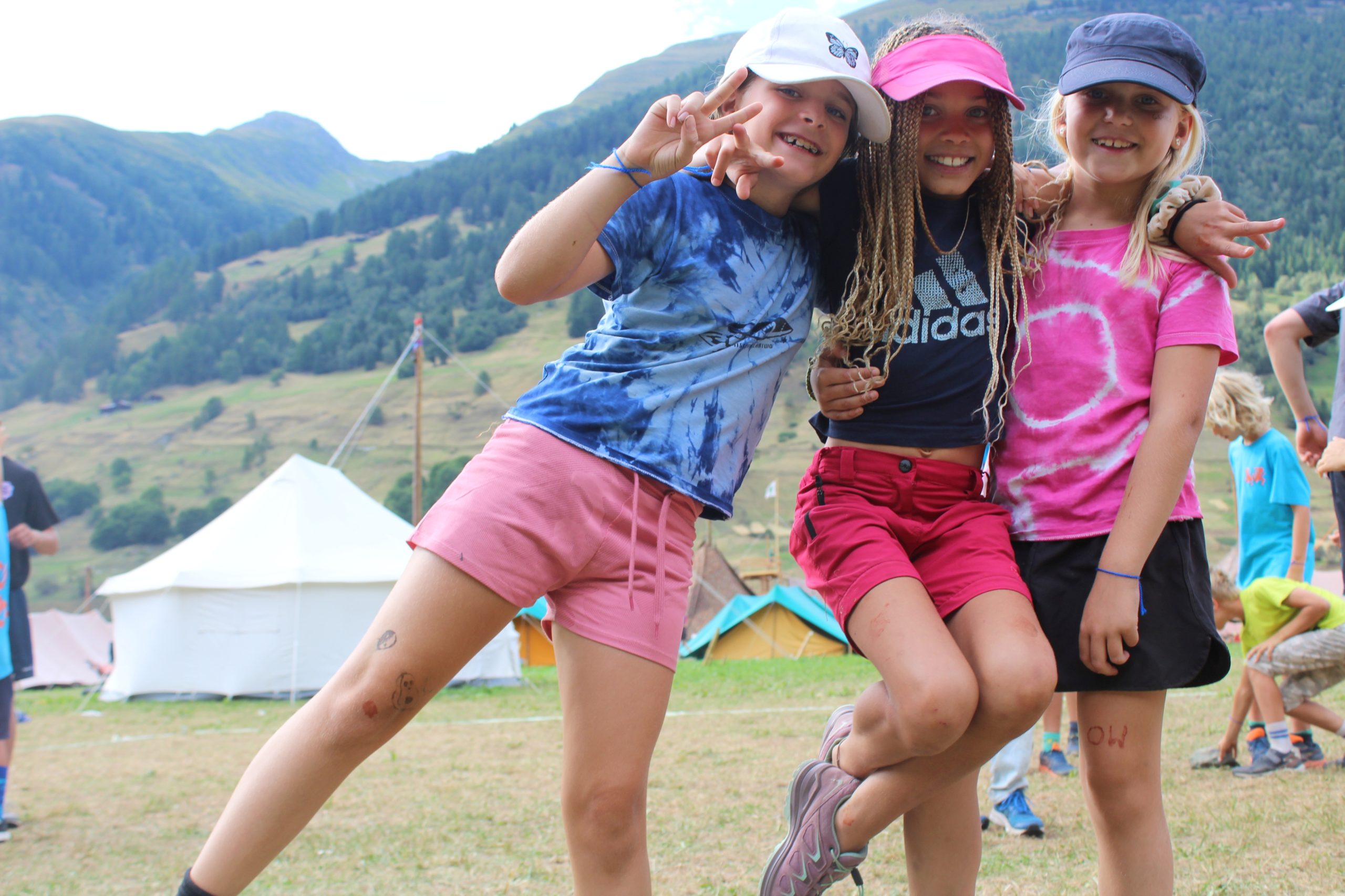 Bild 311
