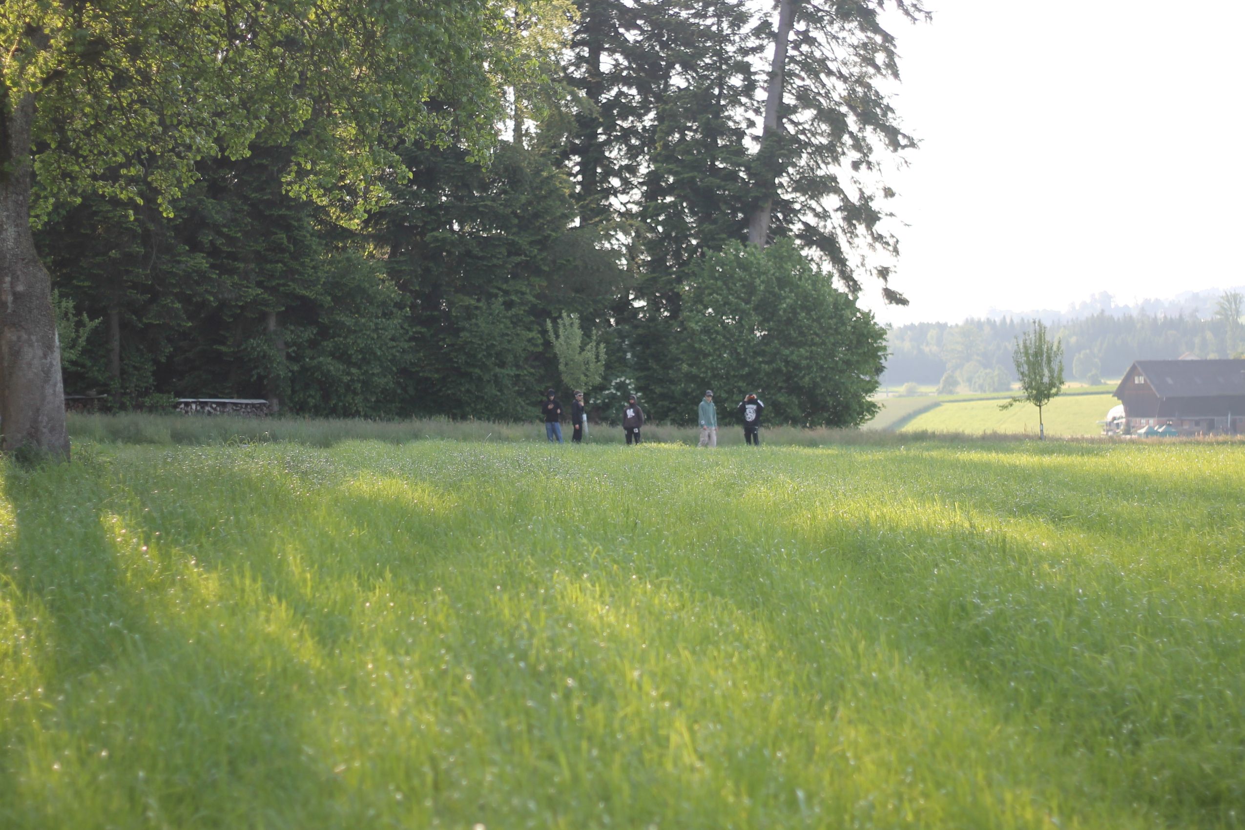 Bild 9