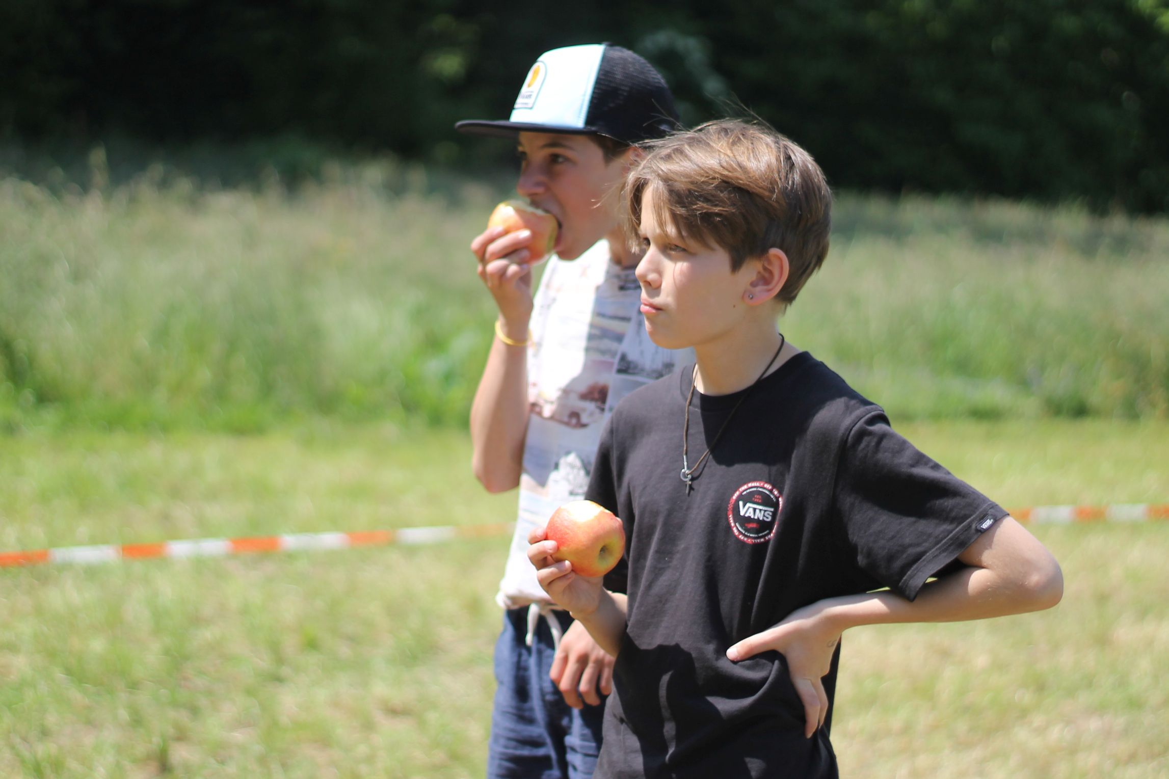 Bild 53