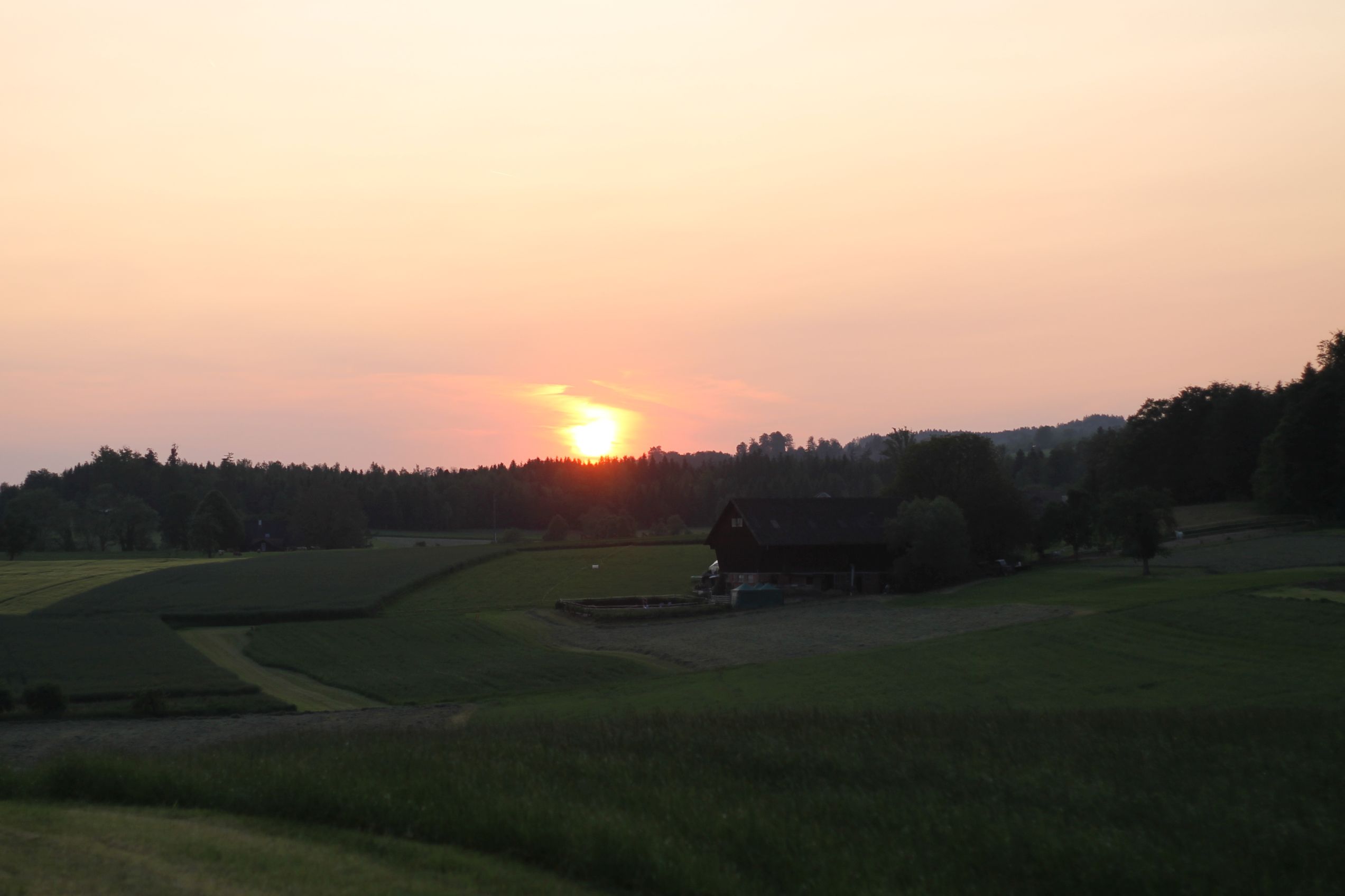 Bild 74