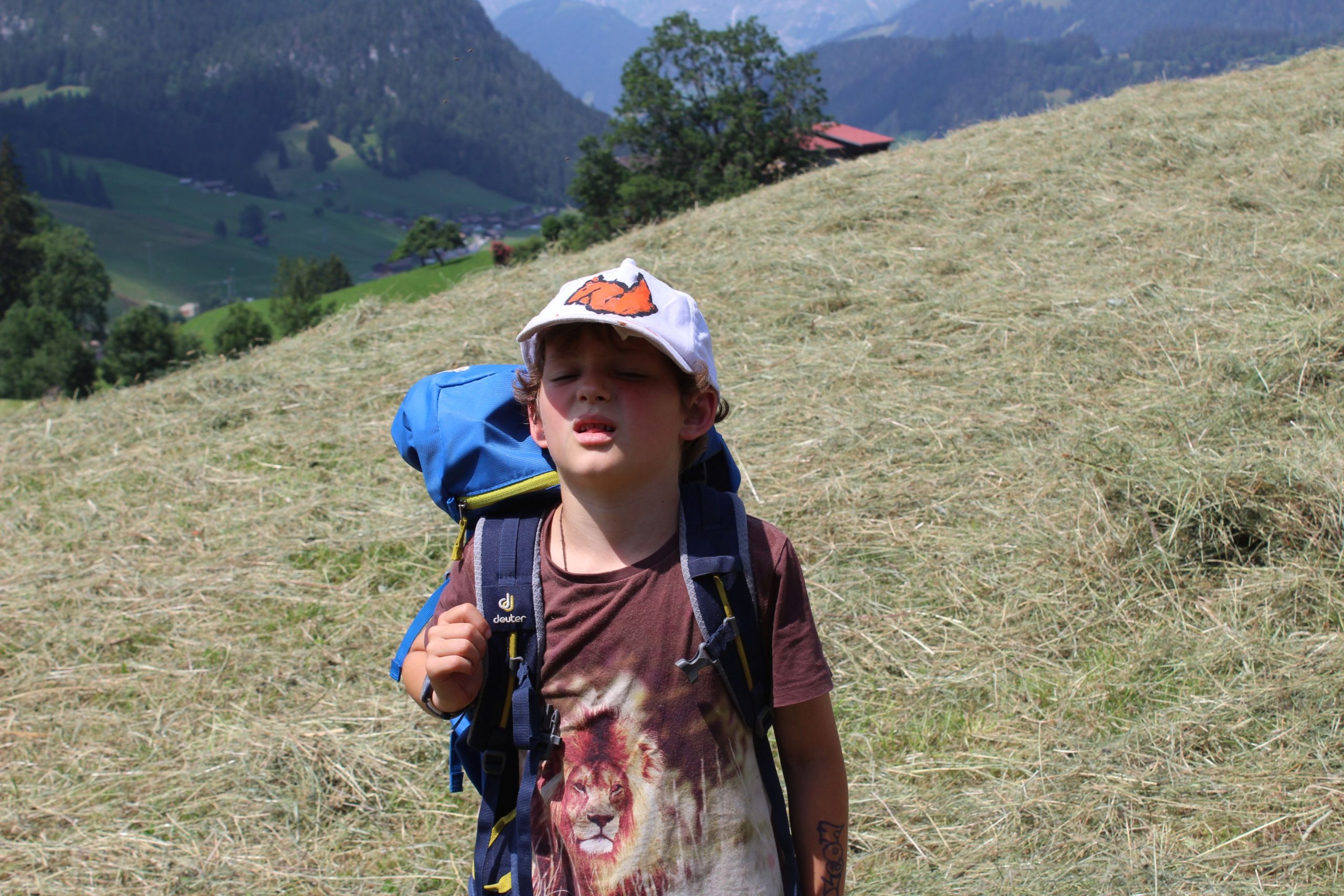 Bild 67