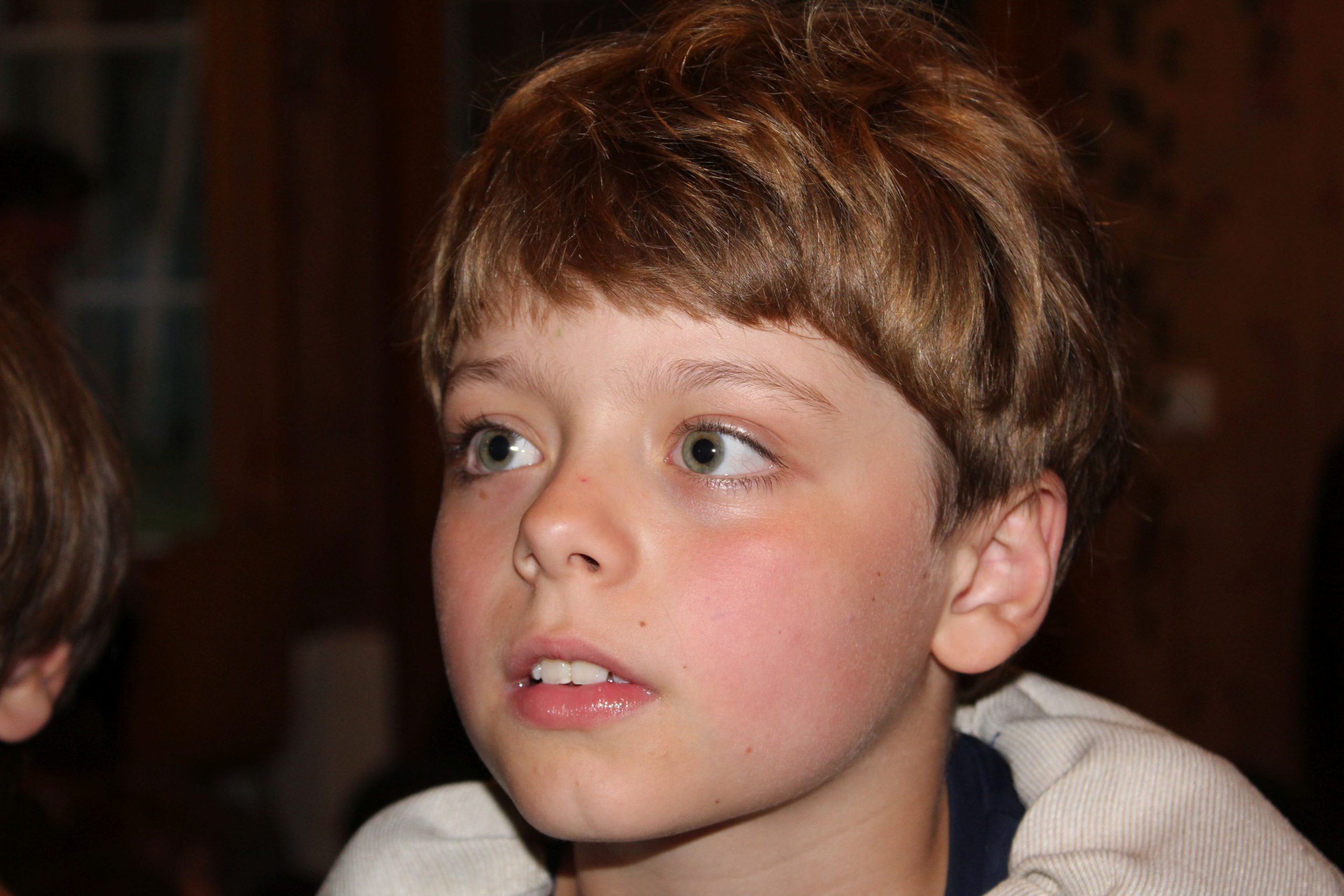Bild 111