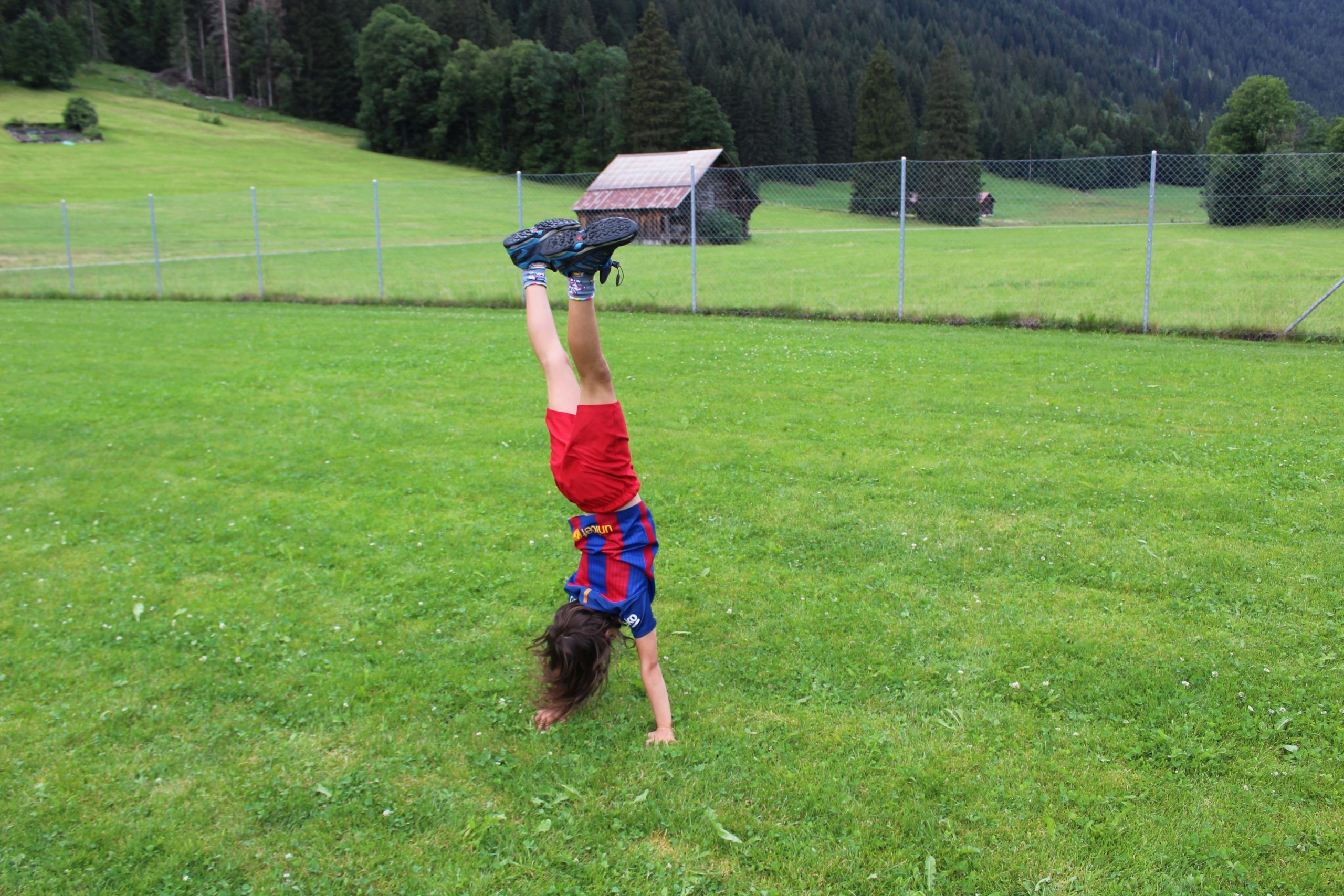 Bild 155