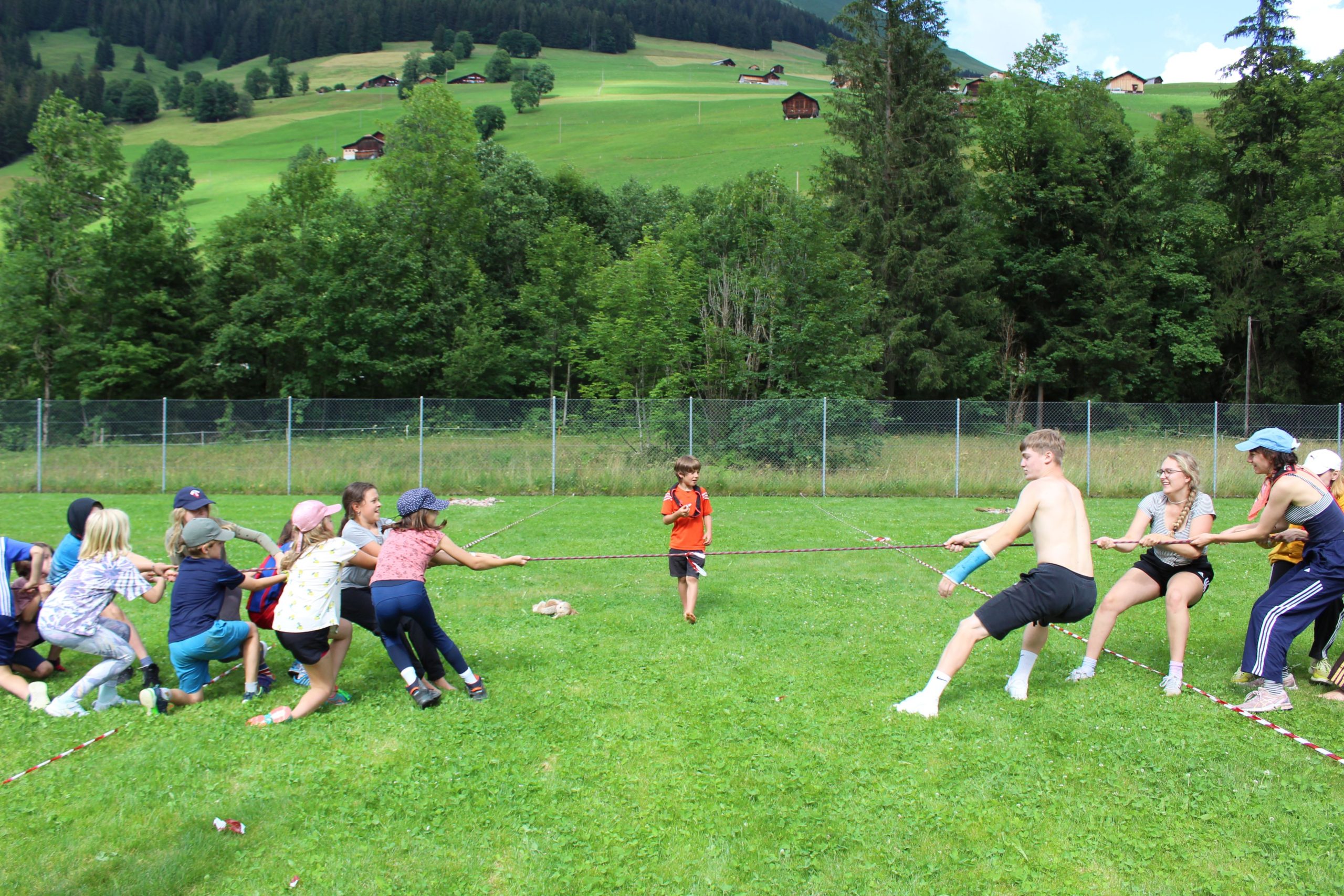 Bild 185