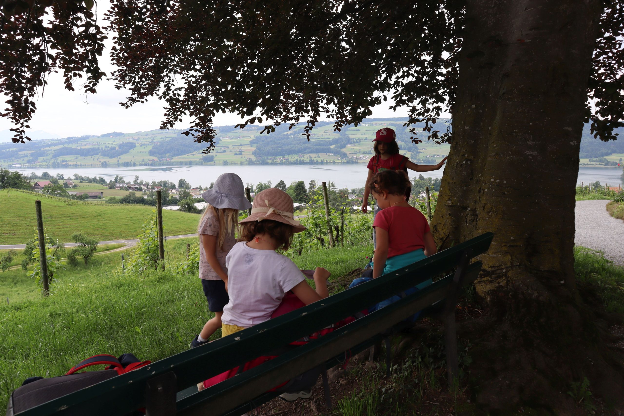 Bild 2