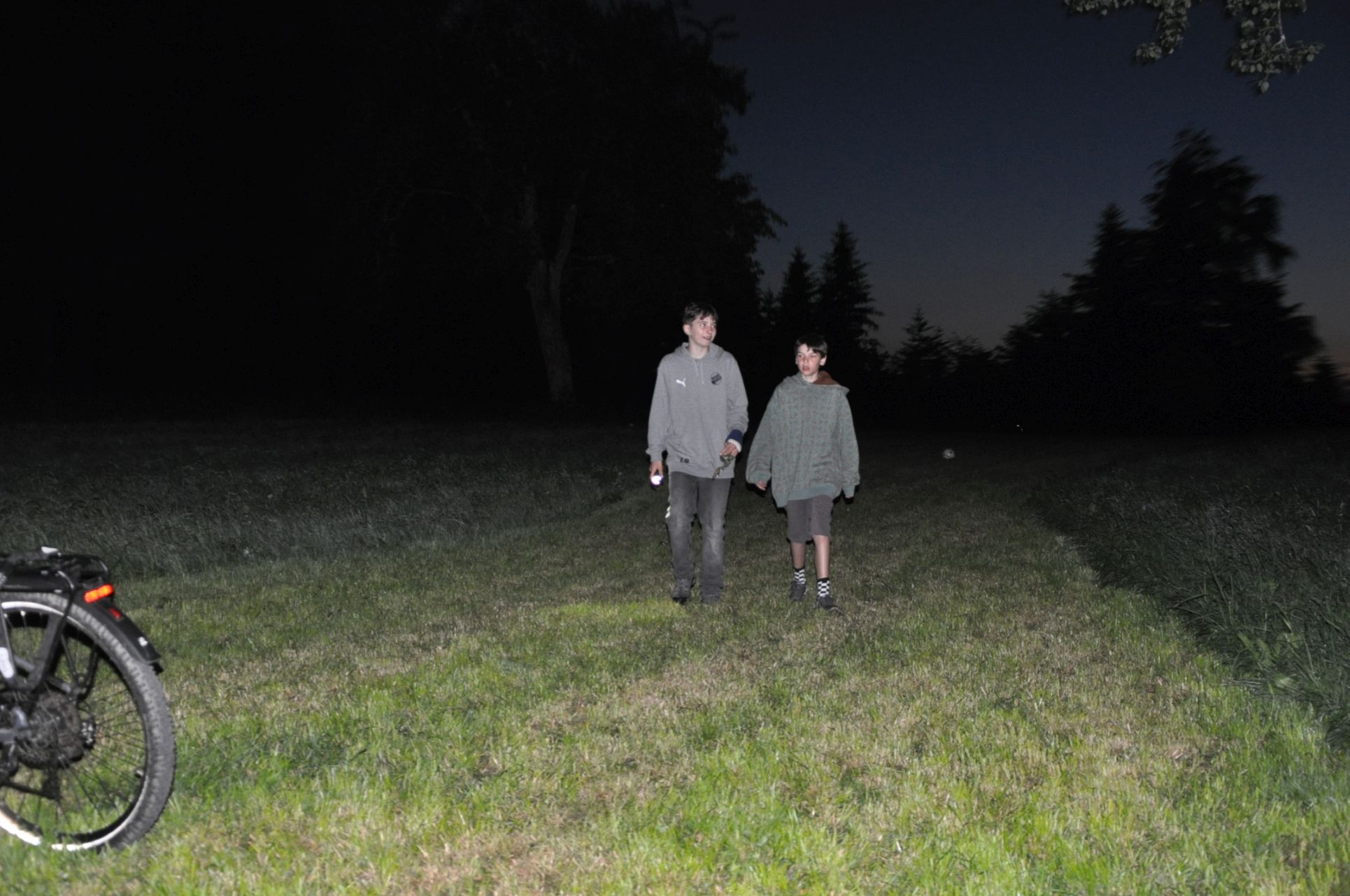 Bild 6