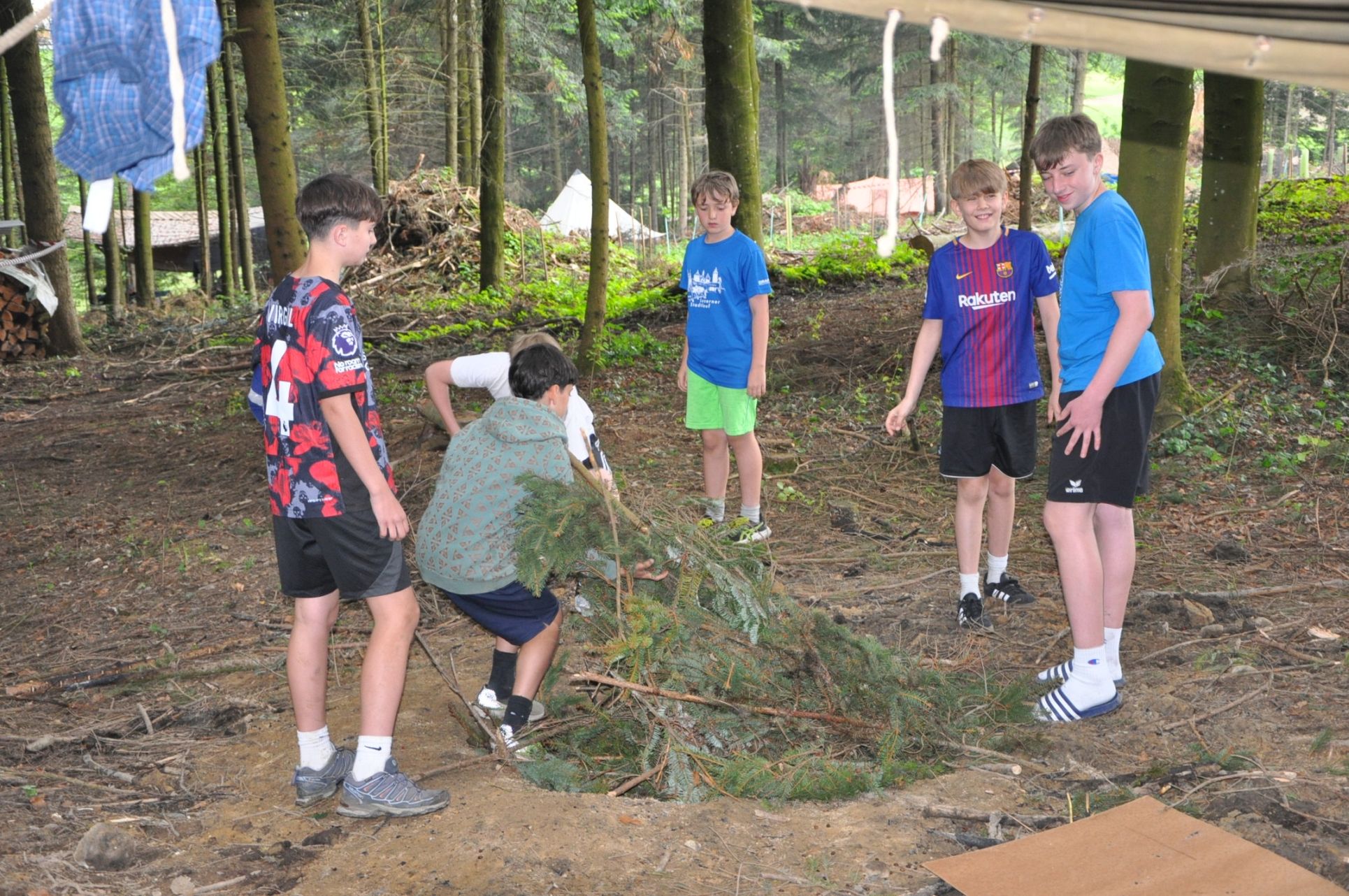 Bild 12
