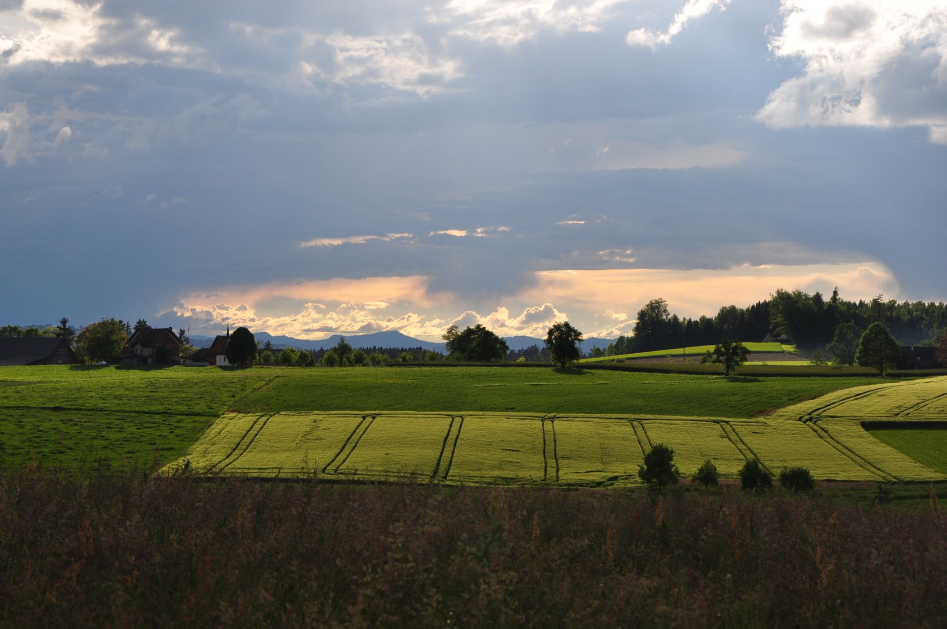 Bild 62