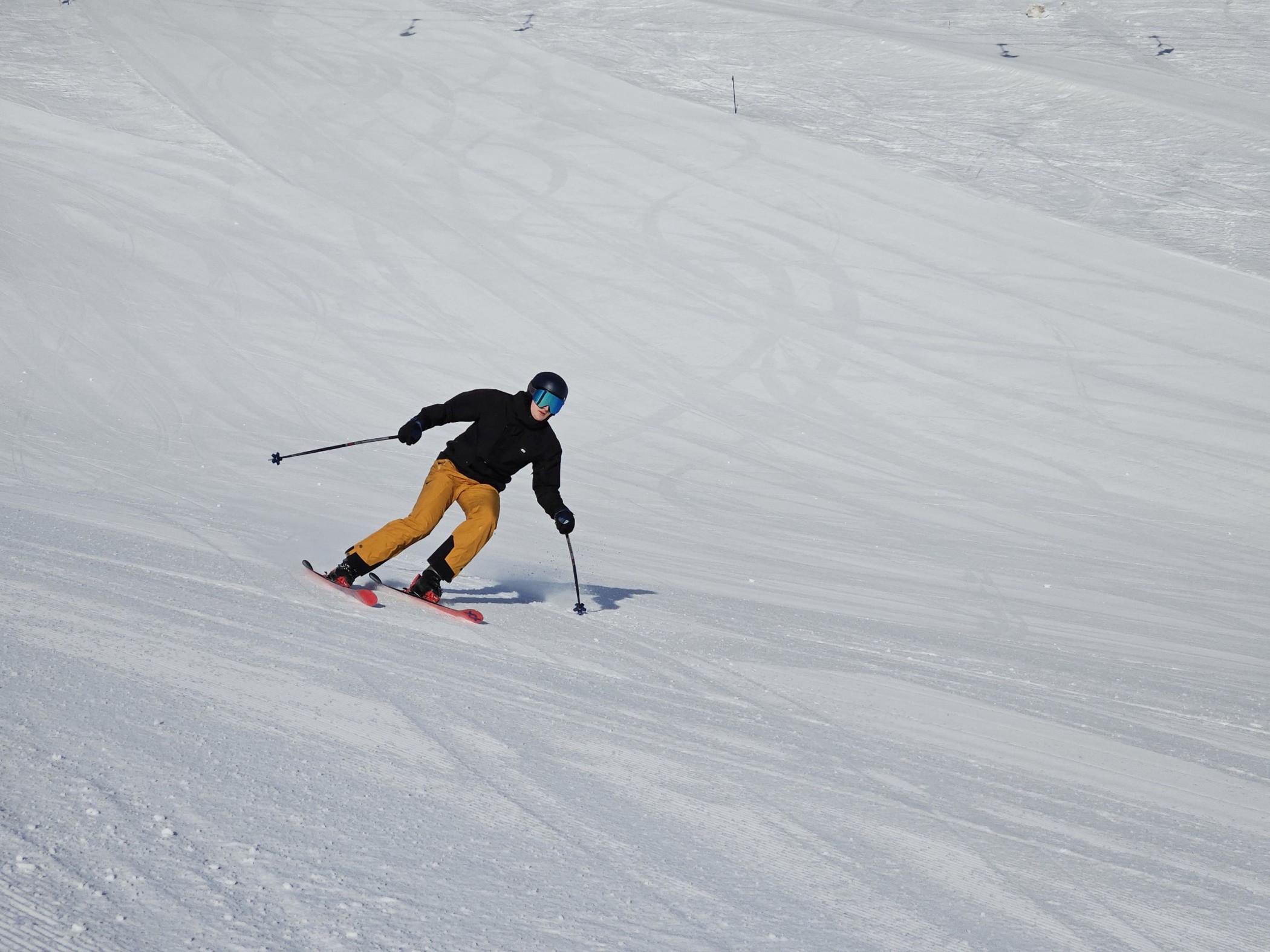 Bild 15