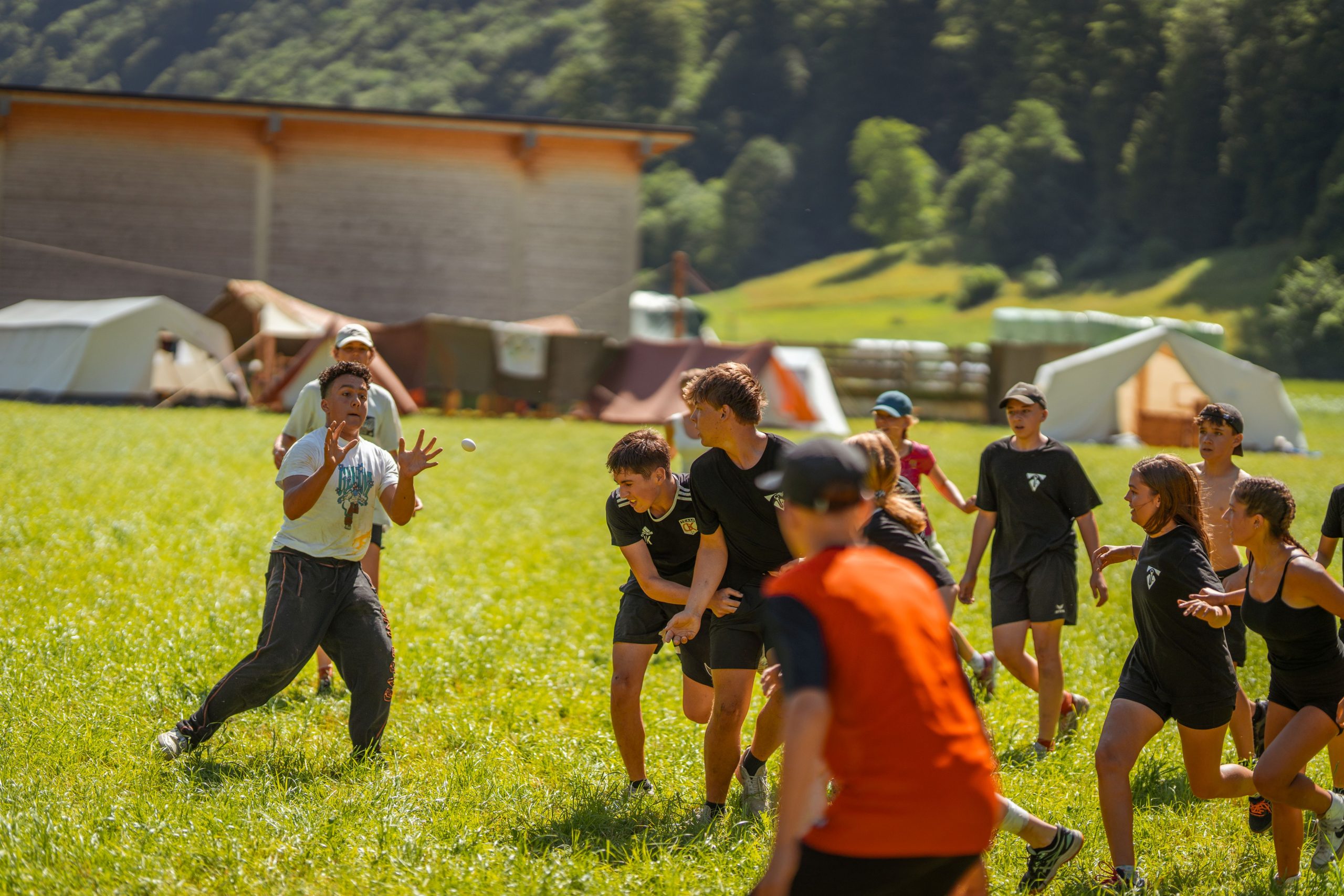 Bild 82