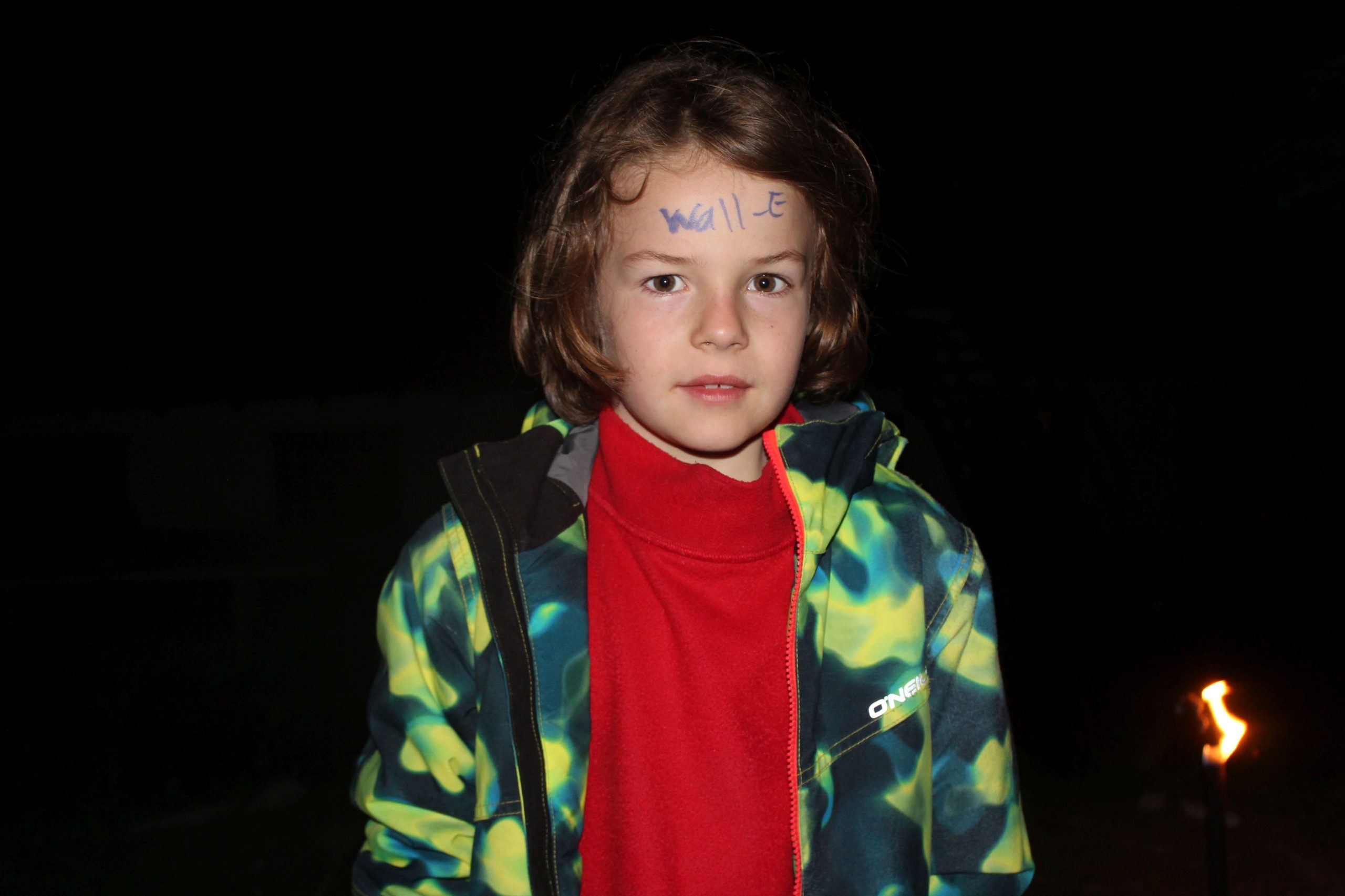 Bild 120