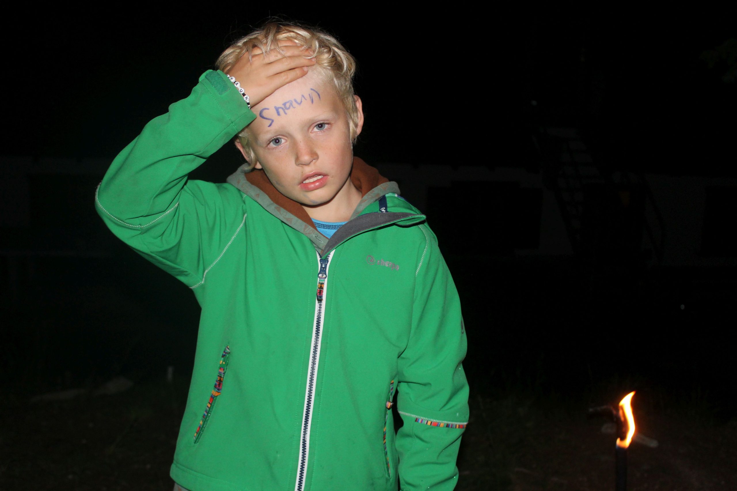 Bild 121