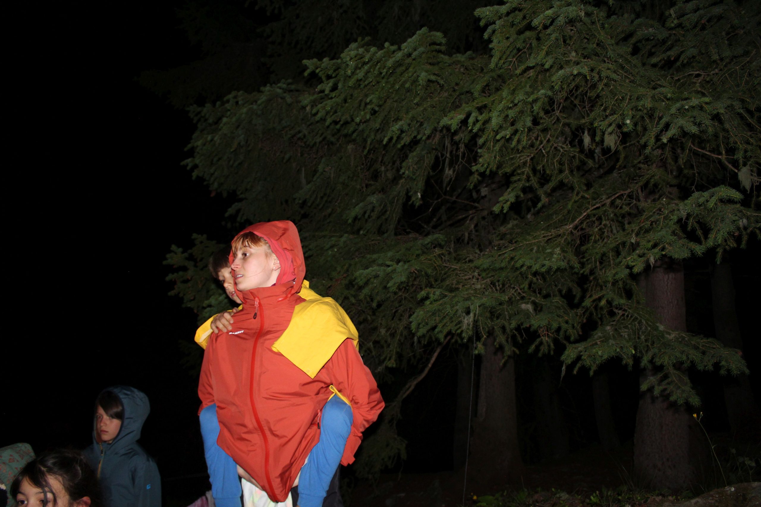 Bild 192