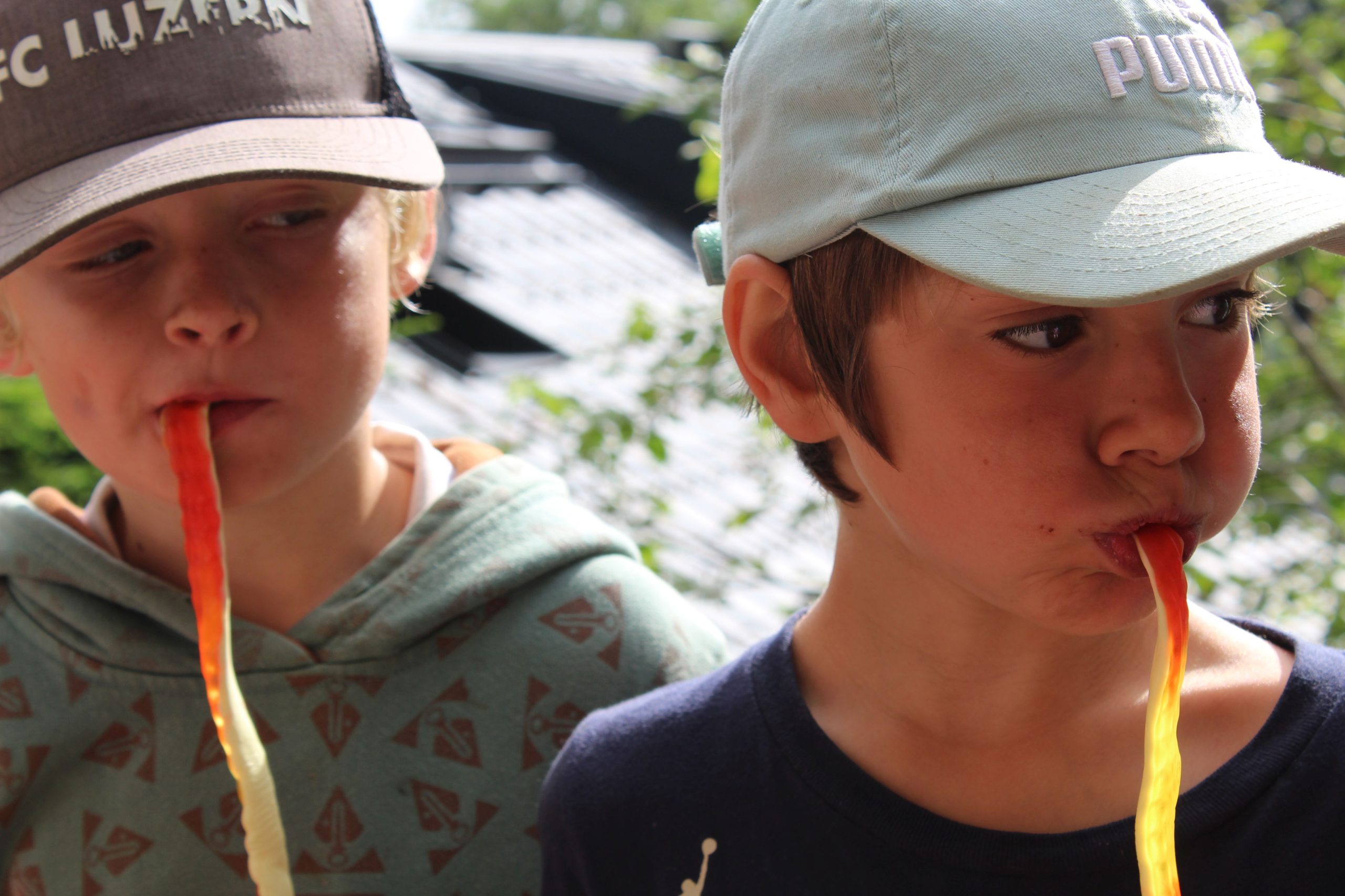 Bild 201