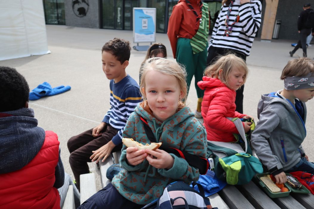 Bild 13