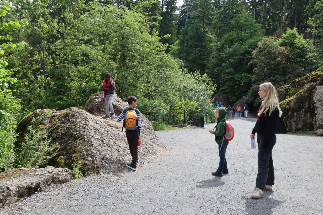 Bild 15