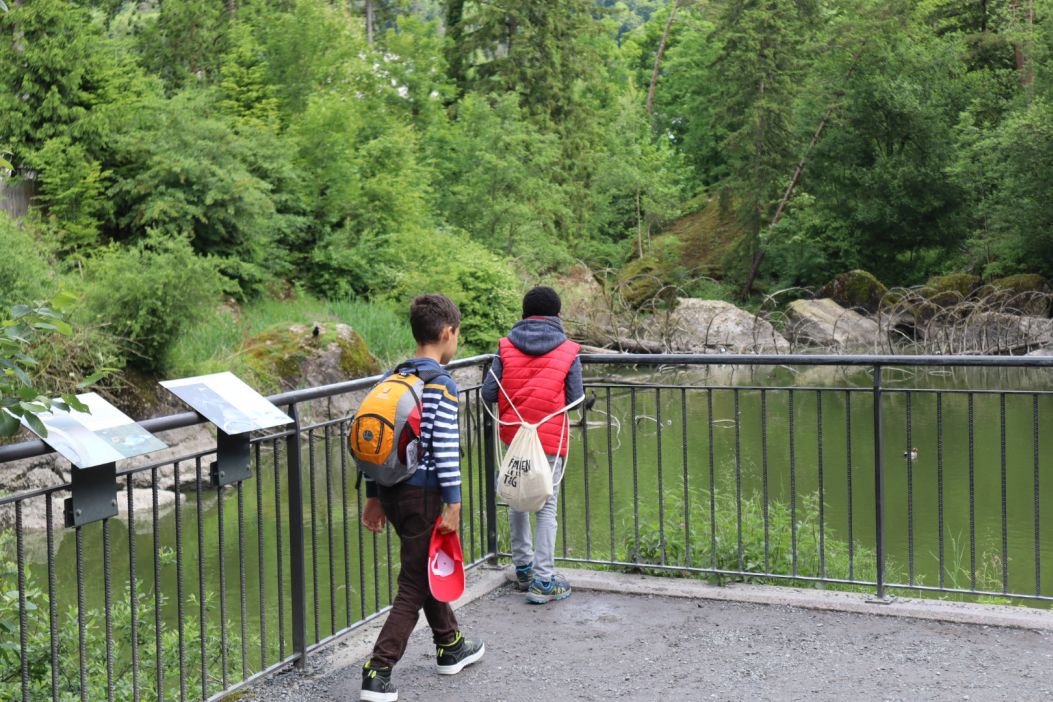 Bild 19