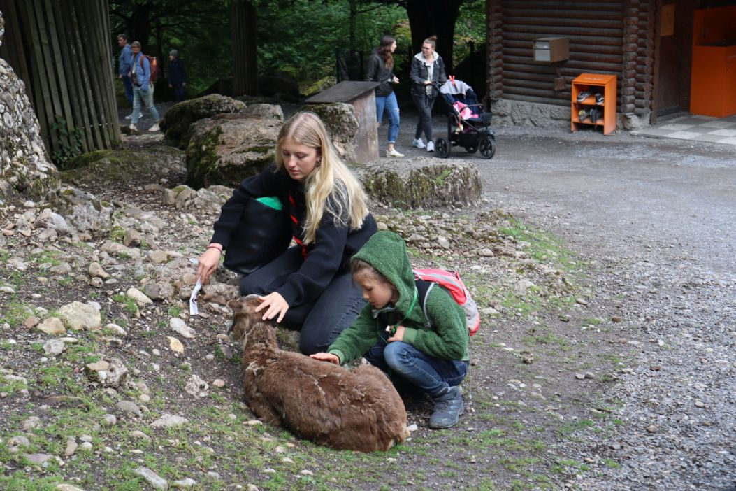 Bild 30