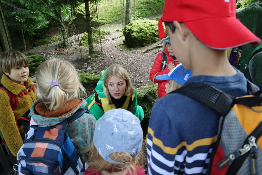 Bild 45