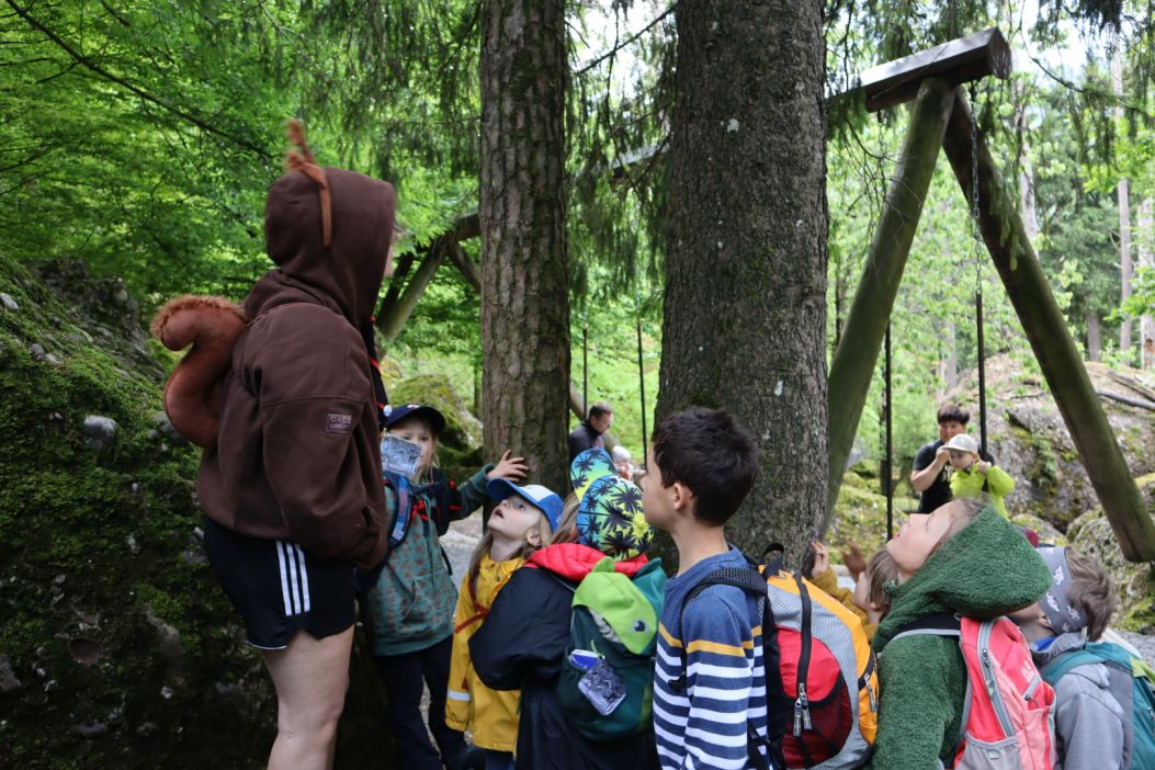 Bild 62
