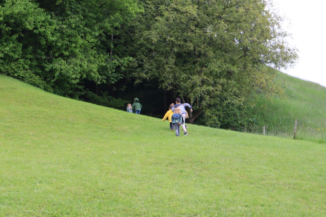 Bild 95