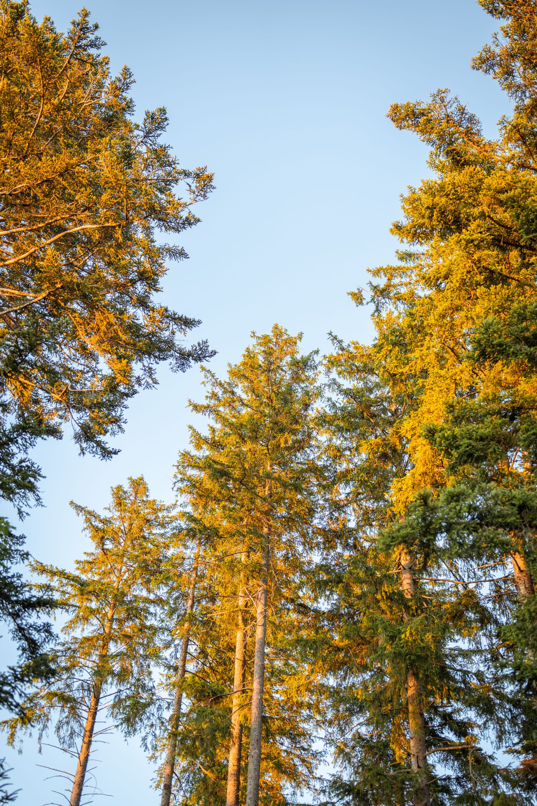 Bild 169