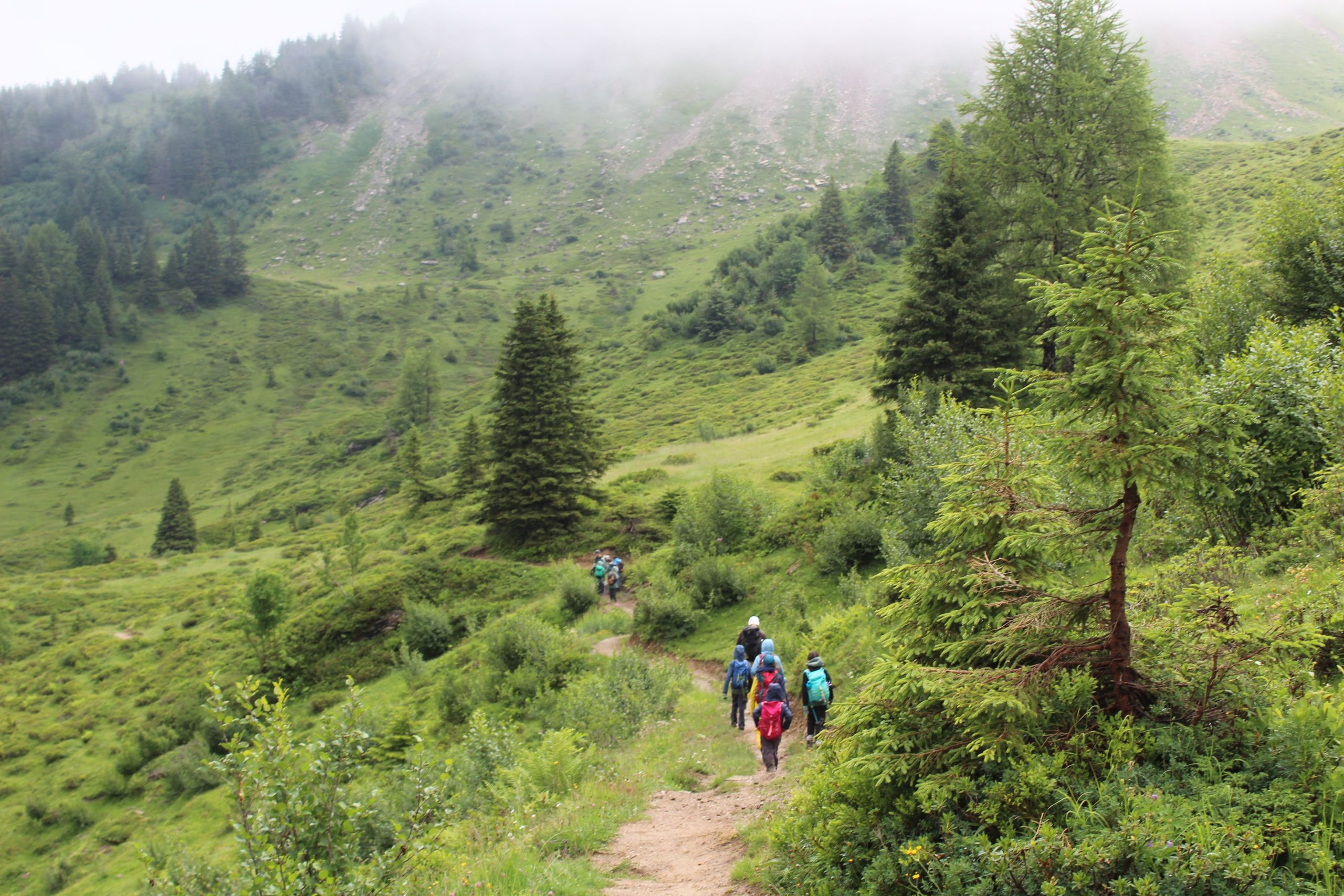 Bild 135