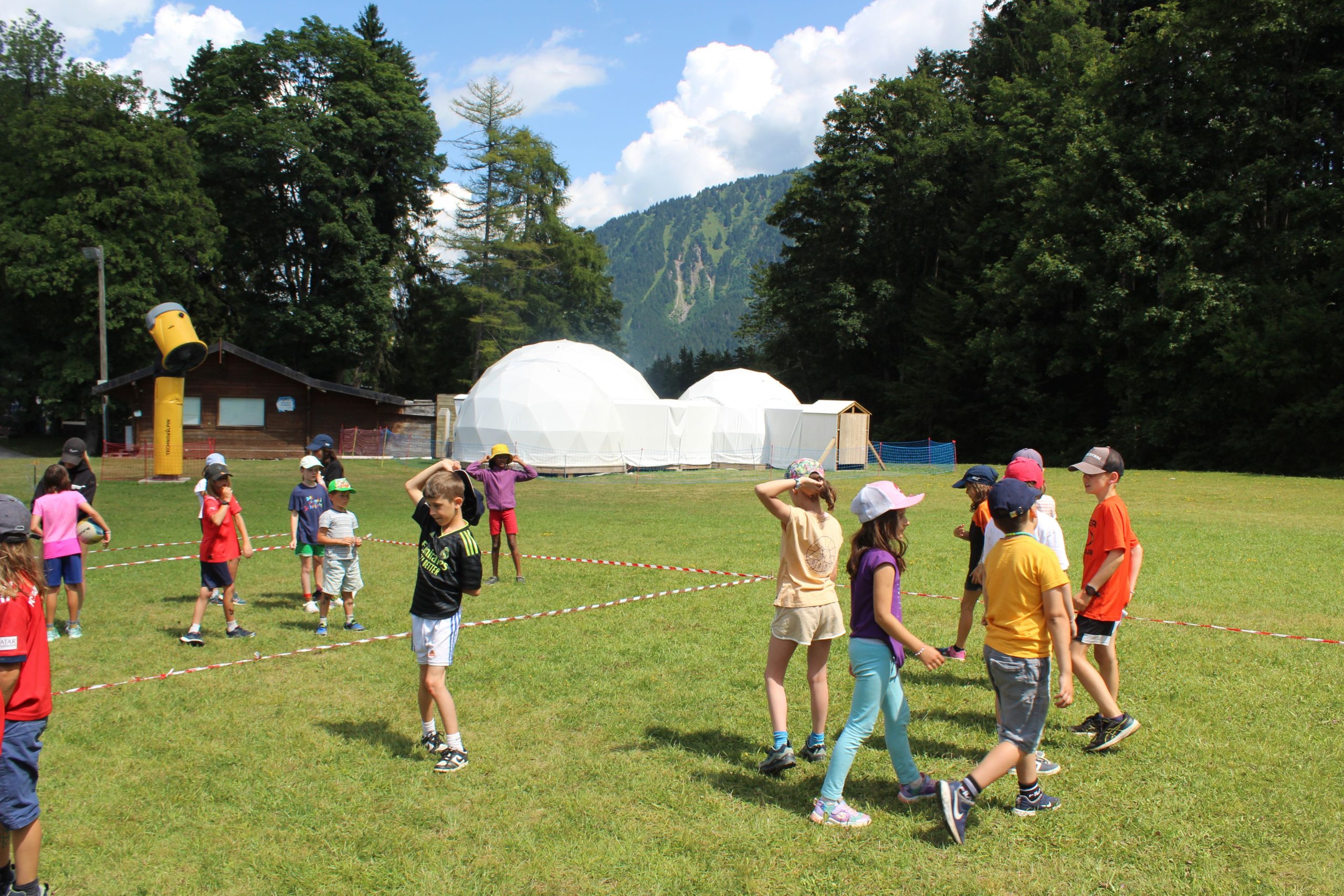 Bild 255